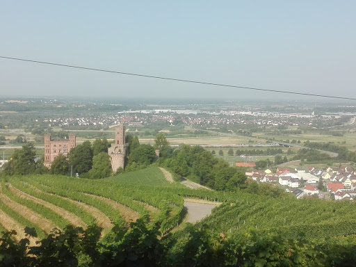 OGM Obstgroßmarkt Mittelbaden eG - Thumbnail