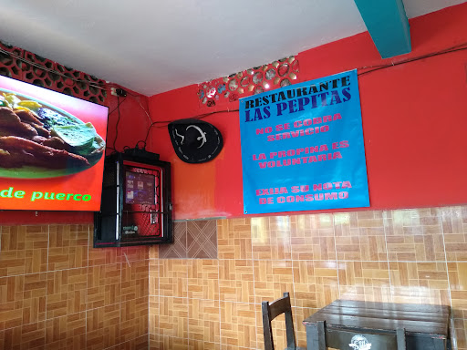 Las pepitas - Visual