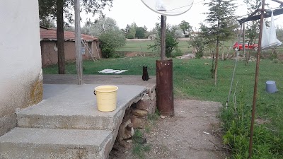 Photos of Kaya Gıda