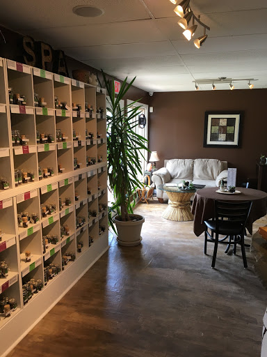 Green Leaf and Pebble Med Spa Logo
