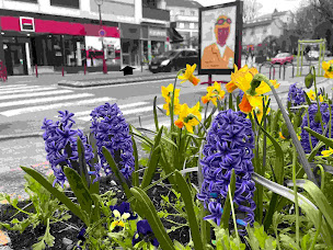 Photo n°19 de Dr. Raluca SCANTEIE - orientation professionnelle* orthodontie à Fresnes (Dentiste pédiatrique)