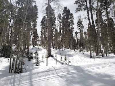 Enchanted Forest Cross Country Ski Area