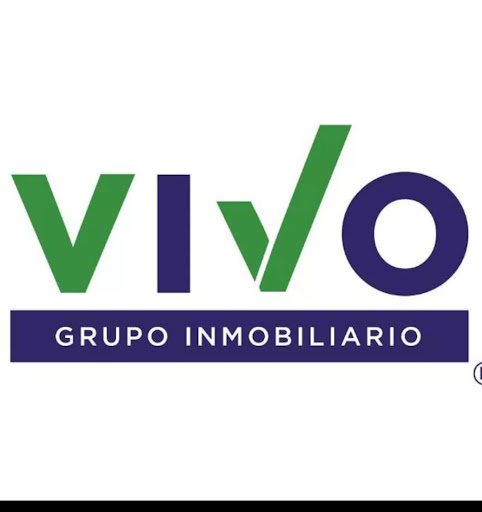 GRUPO VIVO INMOBILIARIO