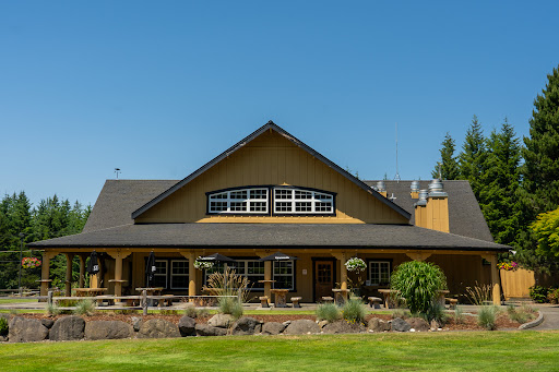 Dry Fly Café - Visual