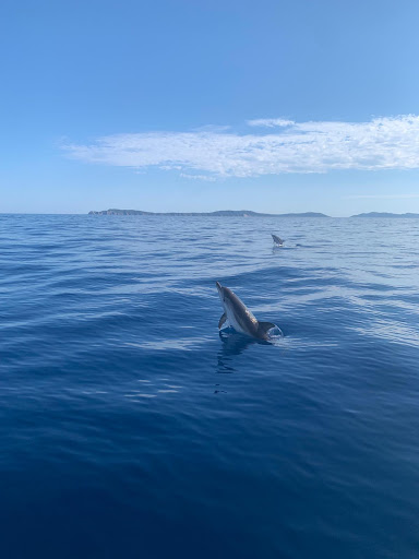 location bateau Hyères : BERNARD PLAISANCE - Thumbnail