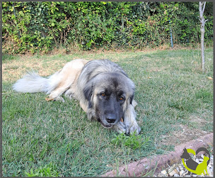 Photo n°20 de Localy-Barf à Villeneuve-sur-Auvers (Animalerie)