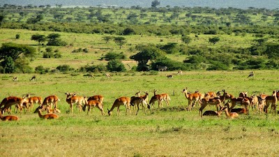 Photos of BIG TIME SAFARIS LTD