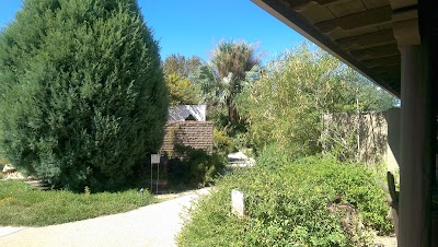 Photos of Tohono Chul Park
