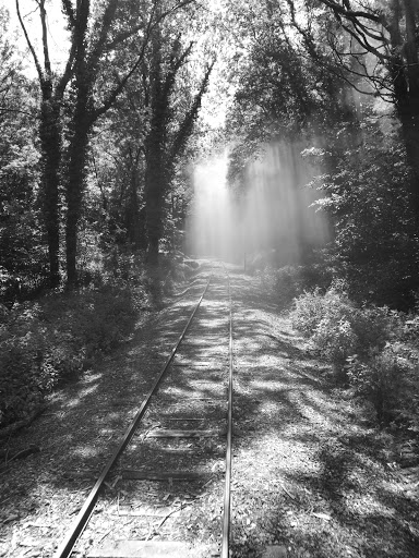 Photo 2 - Sentheim