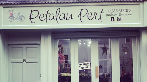 Petalau Pert