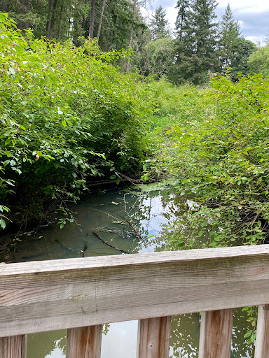 Brookhaven Park - Visual