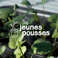 Les Jeunes Pousses à Avignon