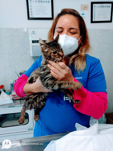 Veterinaria Pet's Medical Center