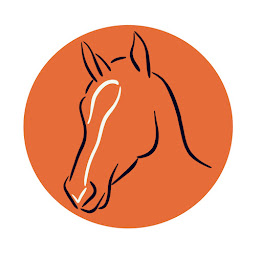 Photo n°2 de Sellerie de la Forêt à Seine-Port (Magasin)