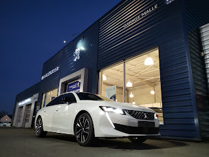 Photo n°10 de GARAGE MALLE PEUGEOT - CITROEN à Saint-Aubin-du-Cormier (Concessionnaire Peugeot)