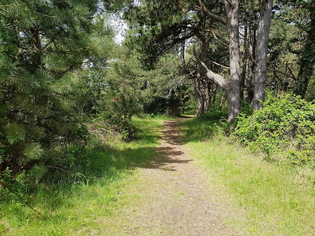 Sentier du littoral