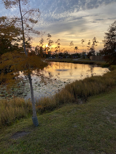 Mathis Walking Park - Thumbnail