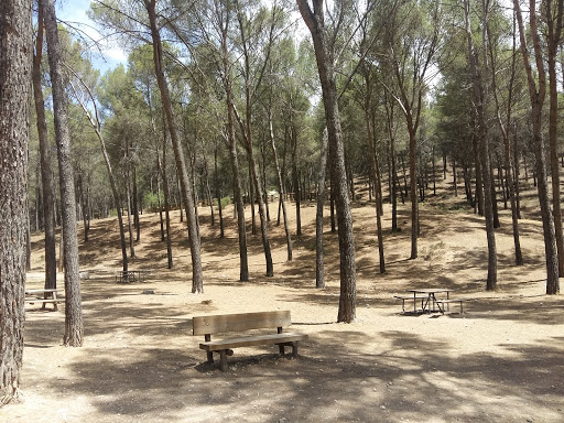 Parque Forestal El Pinar