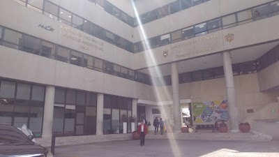 local-government-office