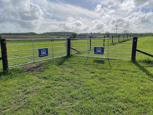 DHT Fields - Visual