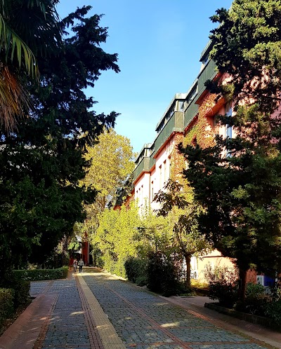 Photos of Yıldız Technical University