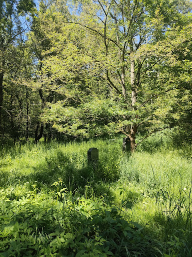 Alter Friedhof Dölitz - Thumbnail