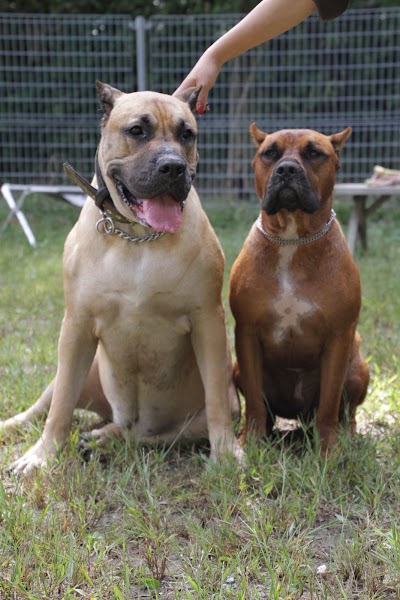 お山 ひょうごアニマルサークル 日本 651 1512 兵庫県神戸市北区長尾町北向井３８９７ １