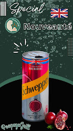 Photo n°14 de POOPEYE GRILL à Vaujours (Magasin vendant du poulet)