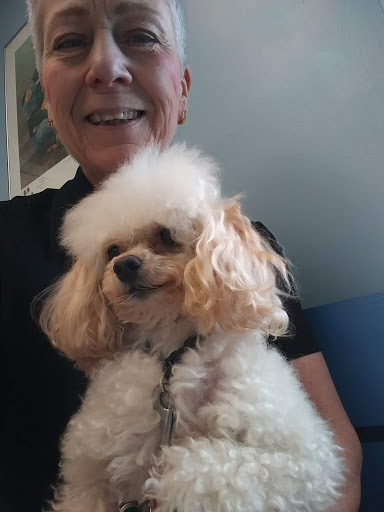 Marysville Veterinary Clinic - Thumbnail