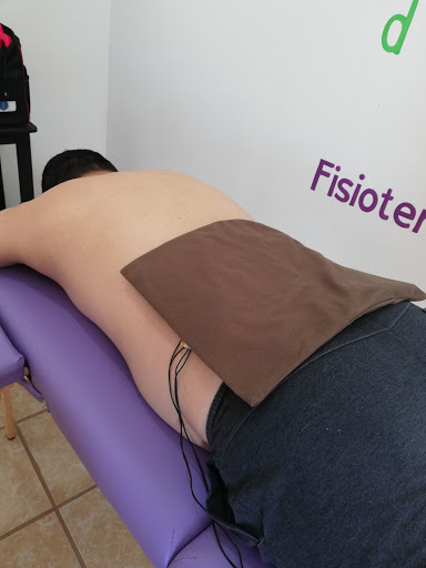 FisioConect - Visual