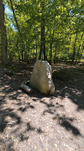 Clamart Woods - Thumbnail