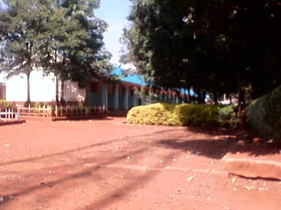 school