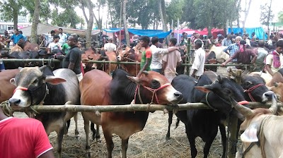 Photos of Gohaliabari Hat