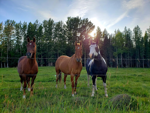 Wildhorse Ranch - Thumbnail