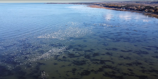 BAIE MITIS - Visual