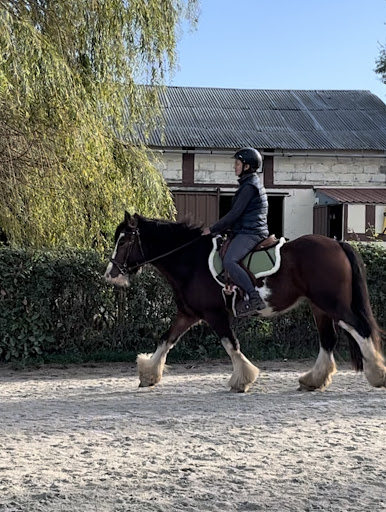 Monitrice d'équitation indépendante - Appoline FELIX