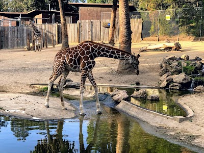 Oakland Zoo