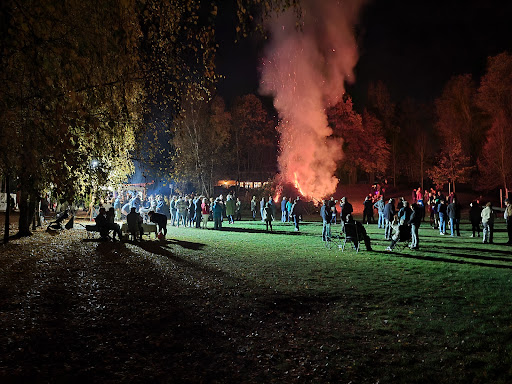 Liegewiese mit Spielplatz Gallery - Germany