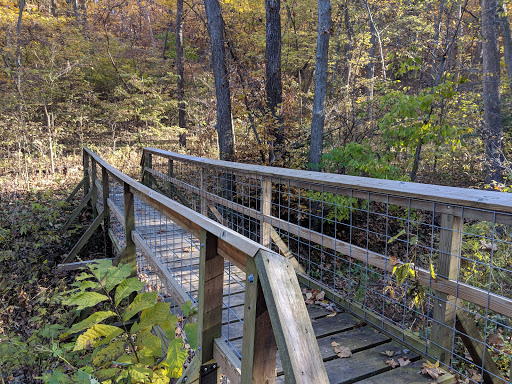 Bluffwoods Conservation Area - Thumbnail