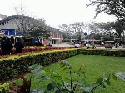 Photos of American College of cali