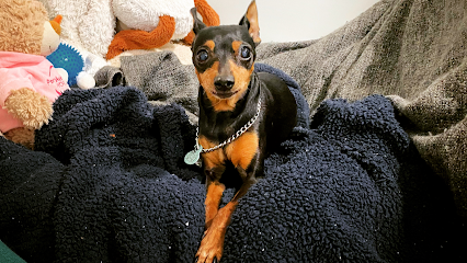 Hotel Caní el Vilà