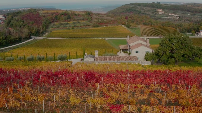 KABOLA WINERY by null