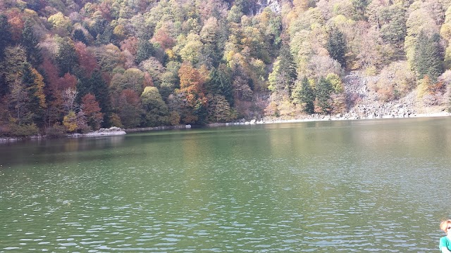 Lac Des Perches