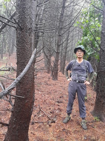 Photos of 양자산