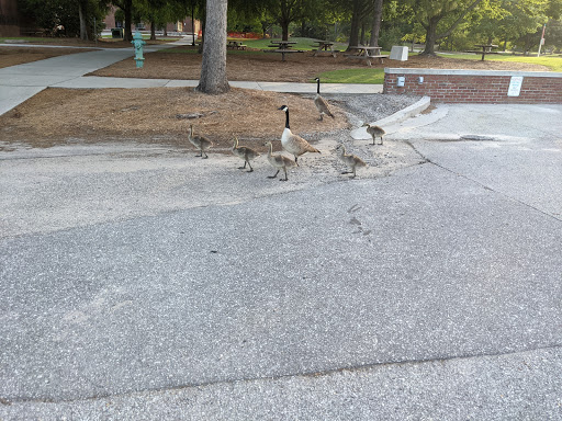 Fisher Lot (E)