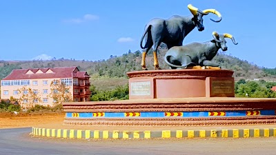 Photos of Elephant Valley Project