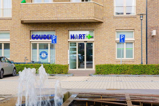 Huisartsenpraktijk Arts en Zorg Gouden Hart