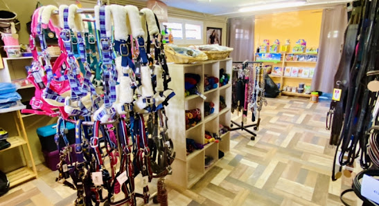 Sellerie Equi’selle - Saint-Loup-sur-Semouse