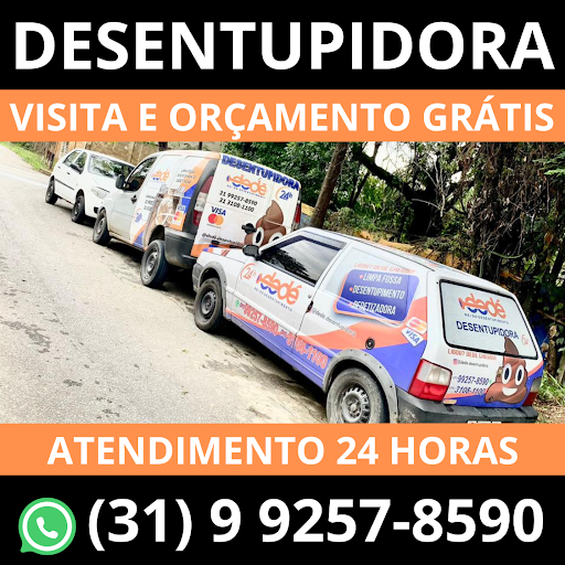 Dedé Desentupidora