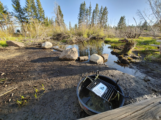 Lake Forest Campground - Thumbnail